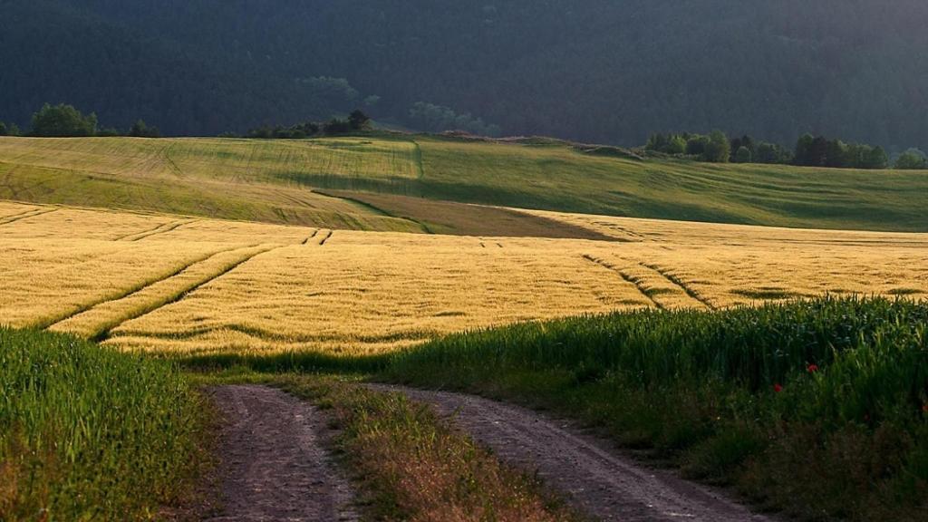 Penzion Mlynarov Dvor Dubrava Exteriér fotografie