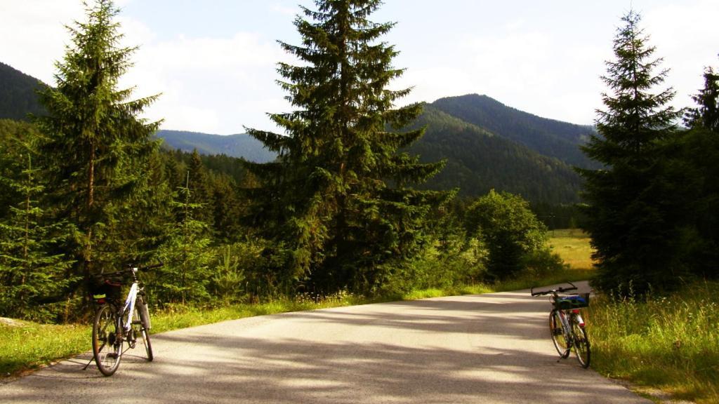 Penzion Mlynarov Dvor Dubrava Exteriér fotografie