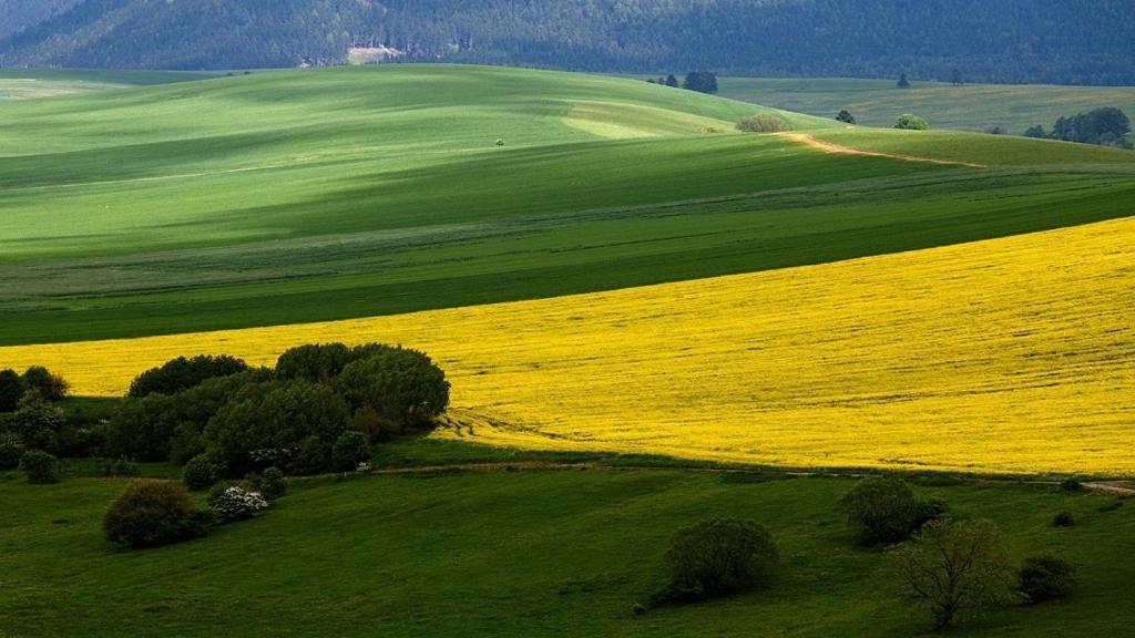 Penzion Mlynarov Dvor Dubrava Exteriér fotografie